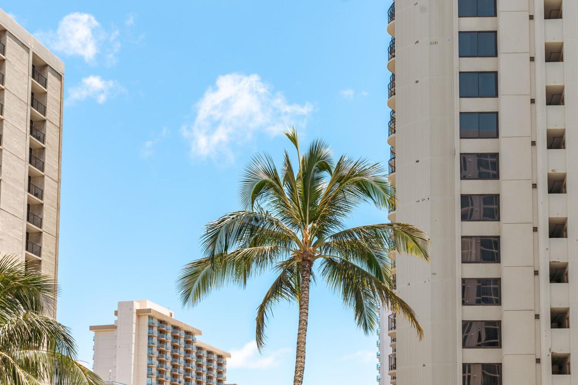Ocean & Diamond Head Views - Near Beach - Parking! 檀香山 外观 照片