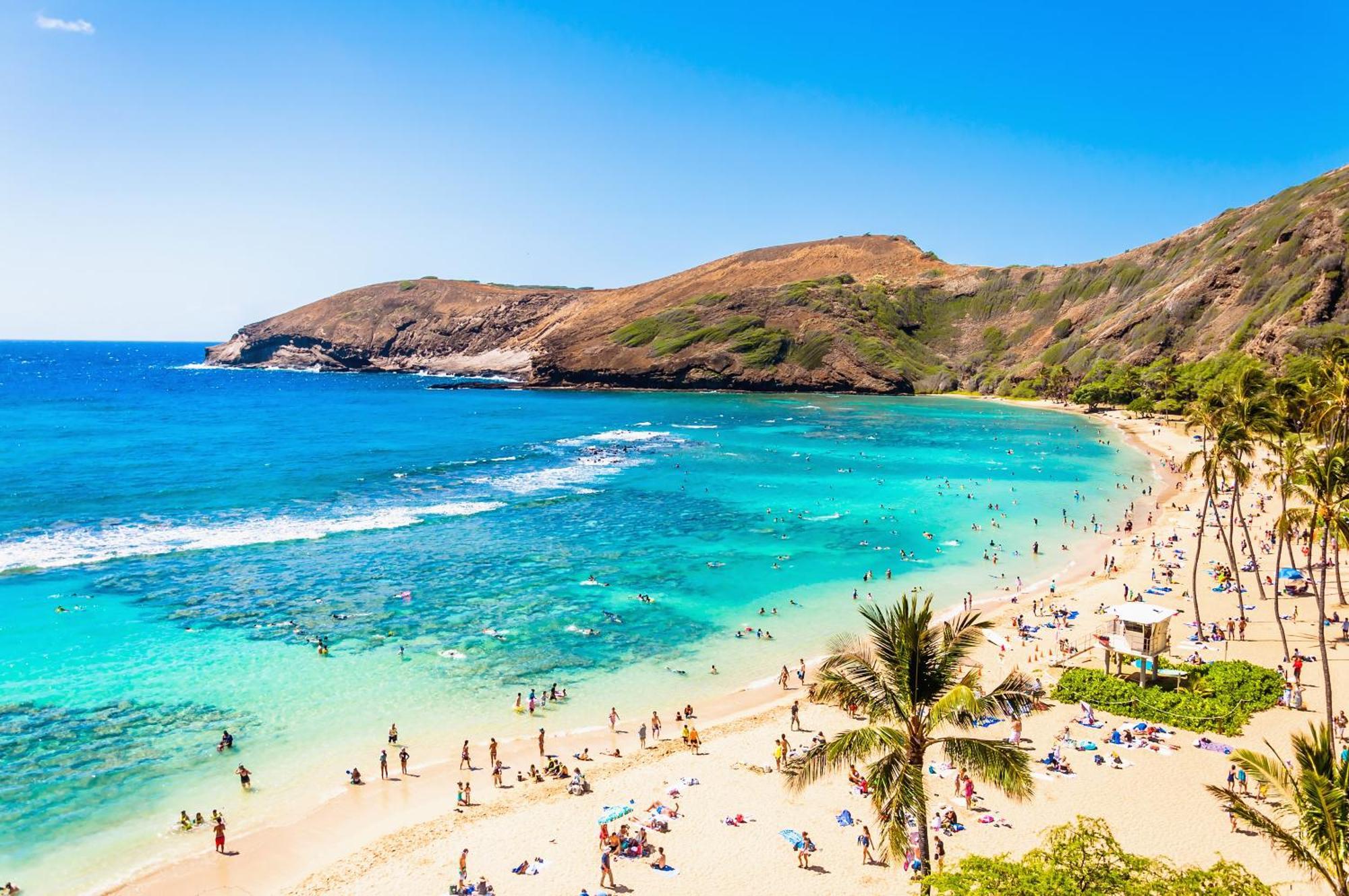 Ocean & Diamond Head Views - Near Beach - Parking! 檀香山 外观 照片